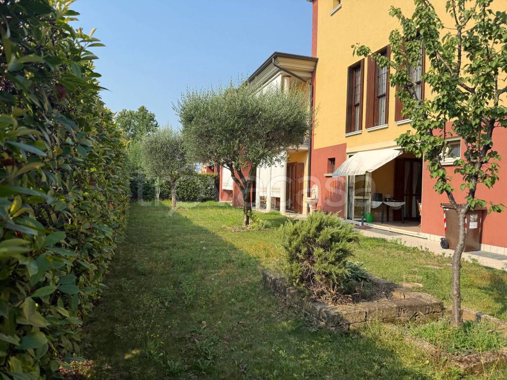 immagine annuncio 2 di 15