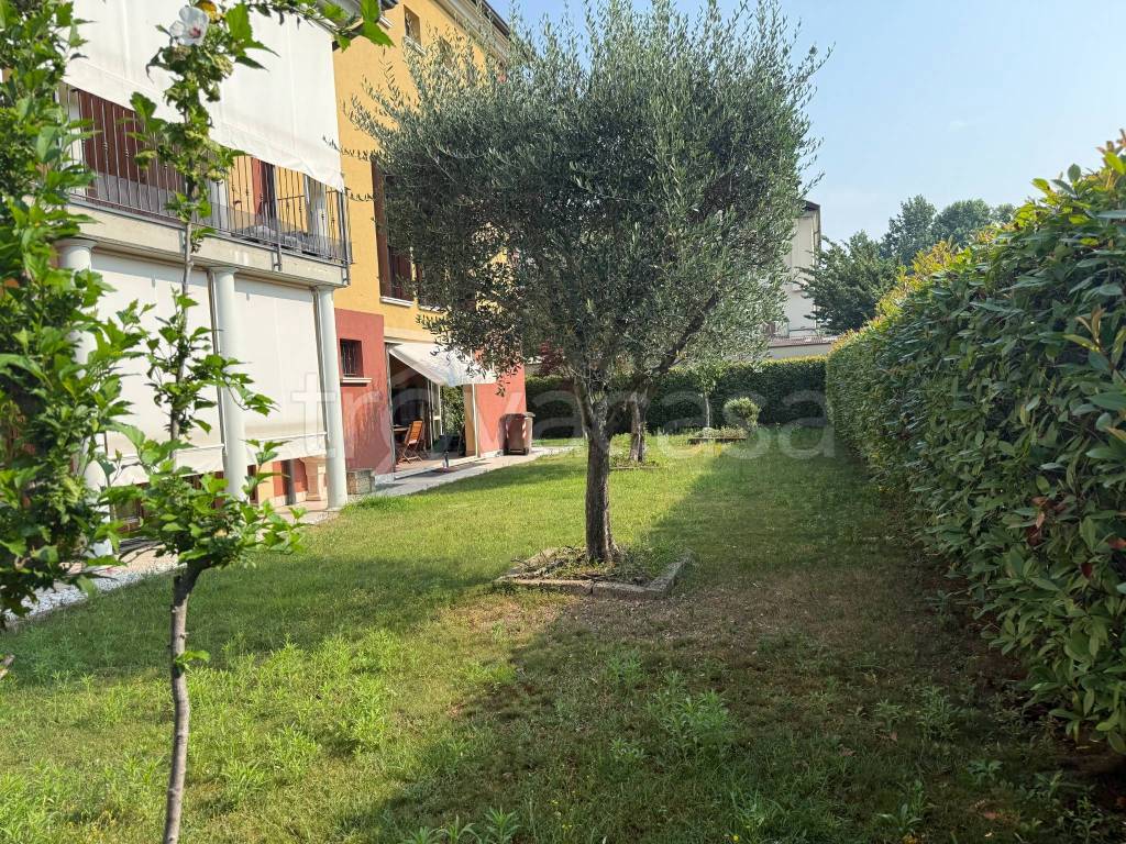 immagine annuncio 5 di 15