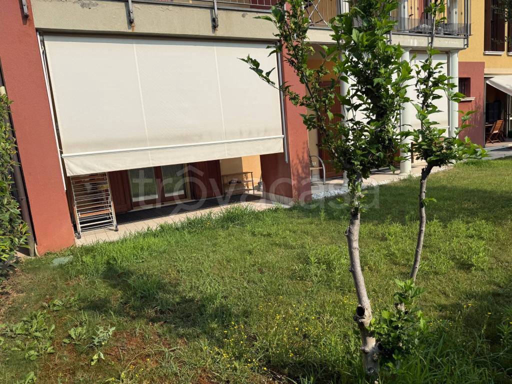 immagine annuncio 6 di 15