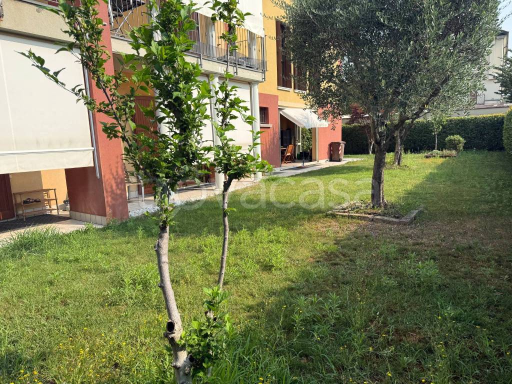immagine annuncio 7 di 15