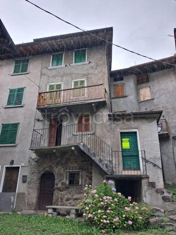 immagine annuncio 1 di 14