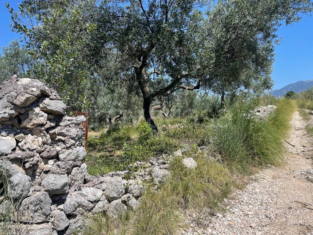 immagine annuncio 6 di 13