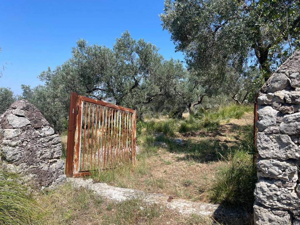 immagine annuncio 8 di 13