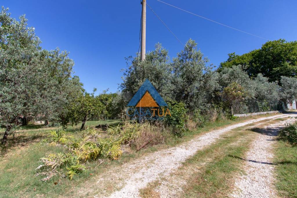 immagine annuncio 5 di 12