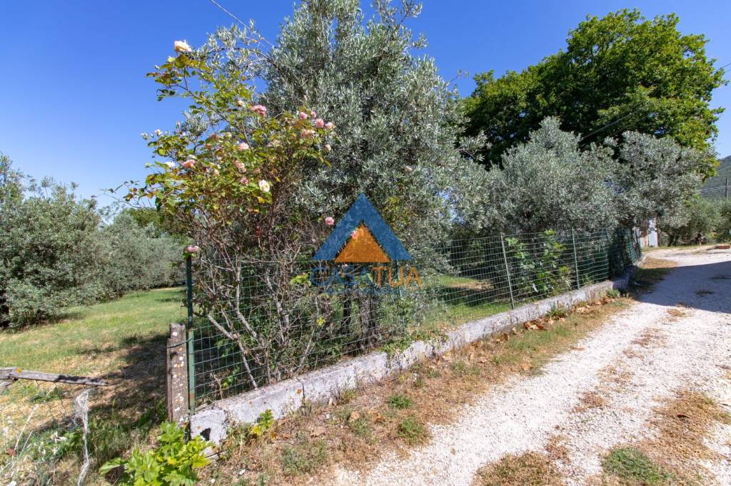 immagine annuncio 6 di 12