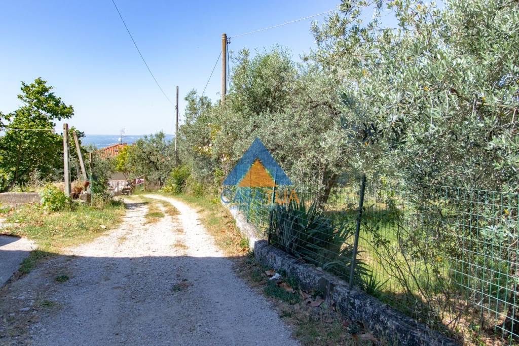 immagine annuncio 11 di 12