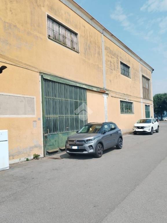 immagine annuncio 2 di 15