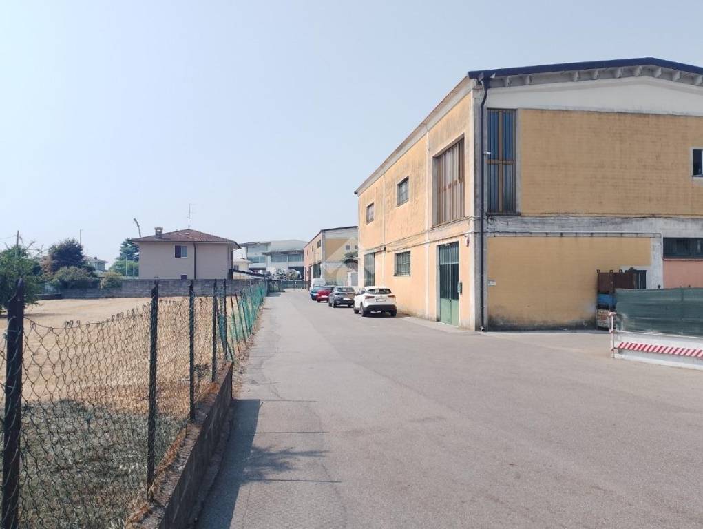 immagine annuncio 3 di 15