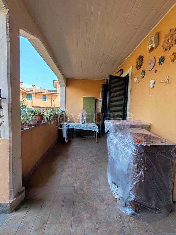 immagine annuncio 7 di 15