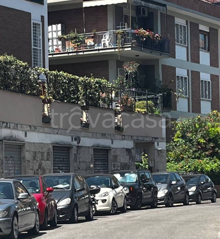 immagine annuncio 6 di 7