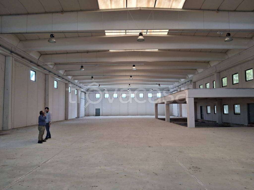 immagine annuncio 1 di 3