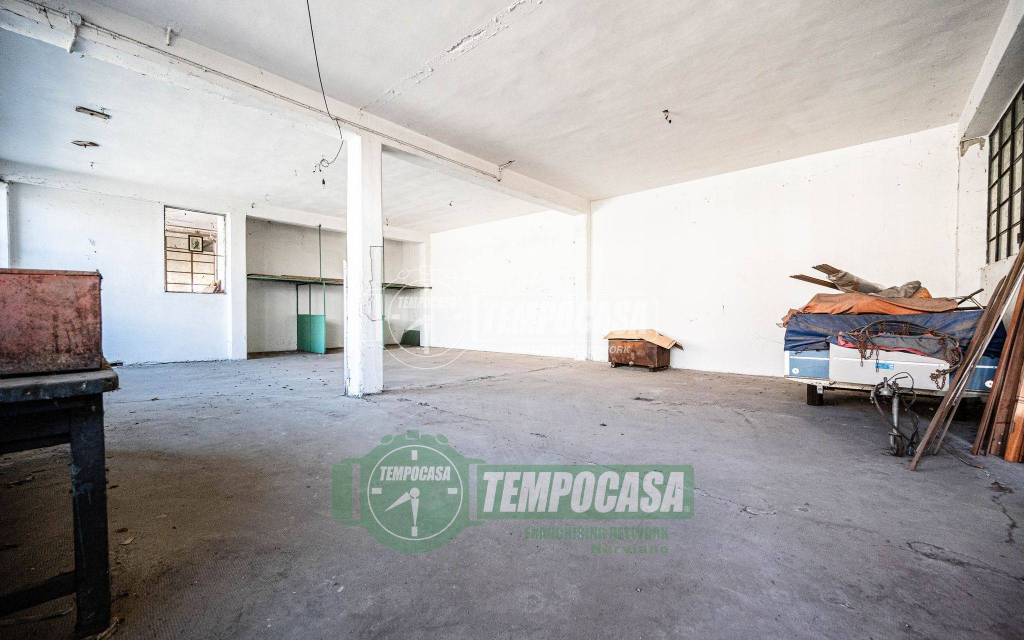 immagine annuncio 12 di 15