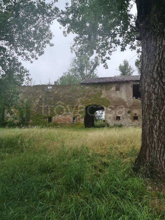 immagine annuncio 5 di 14