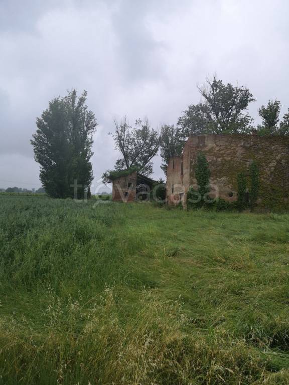 immagine annuncio 8 di 14