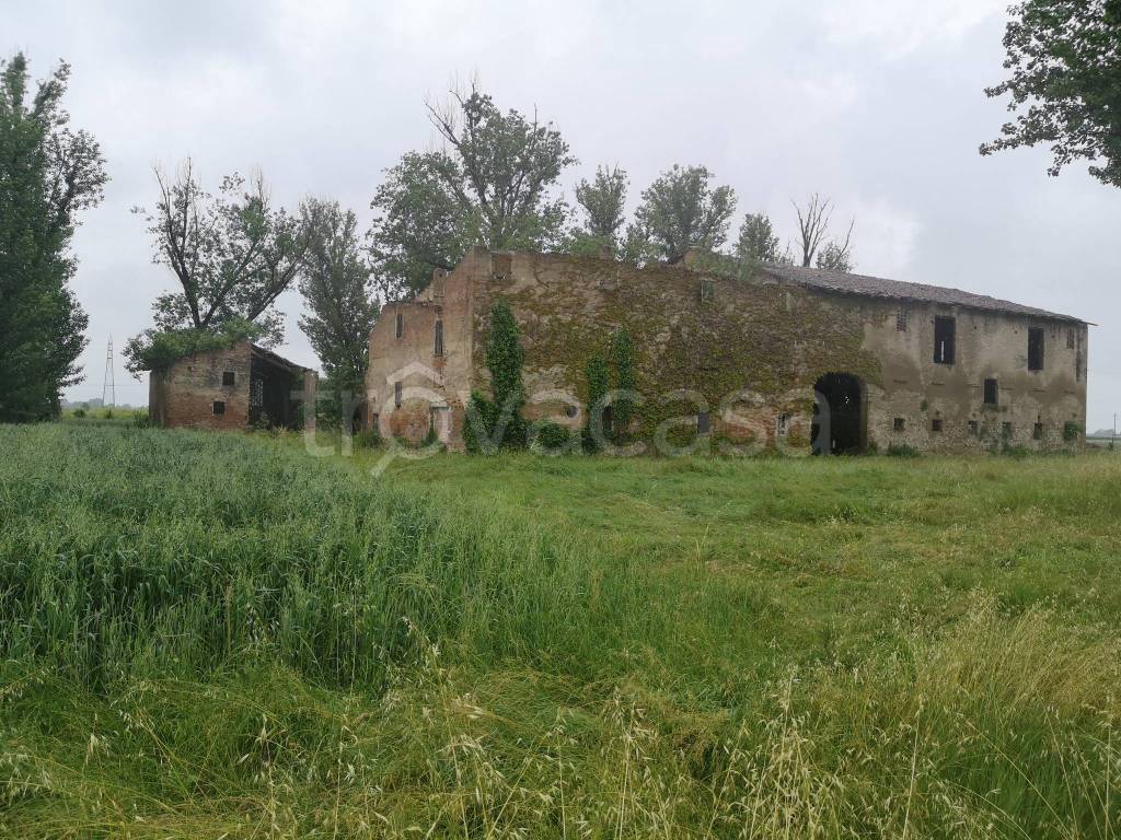 immagine annuncio 9 di 14