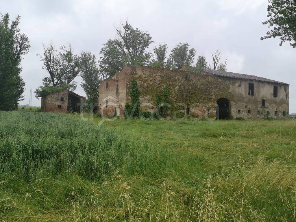 immagine annuncio 10 di 14