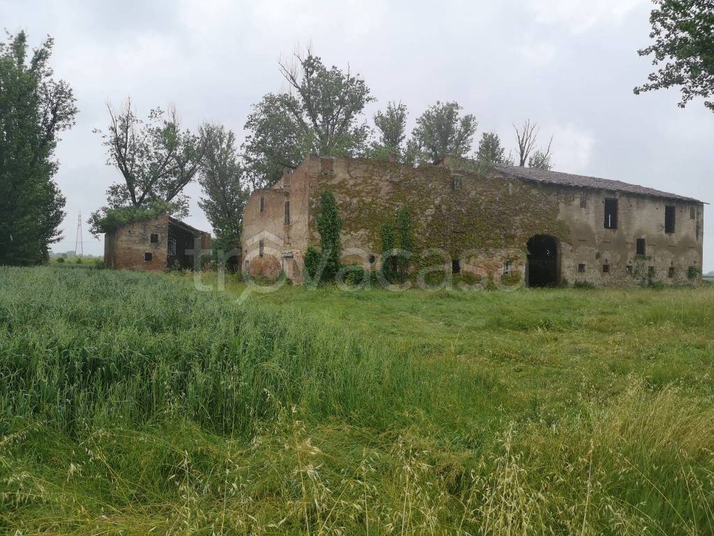immagine annuncio 11 di 14