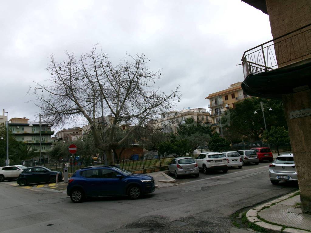 immagine annuncio 2 di 3