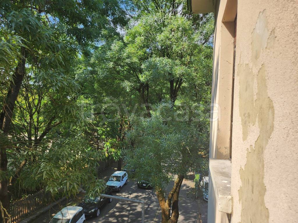 immagine annuncio 3 di 6