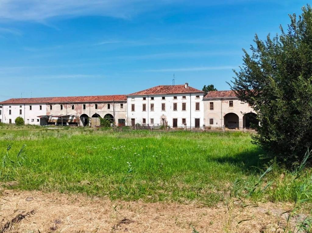 immagine annuncio 3 di 14