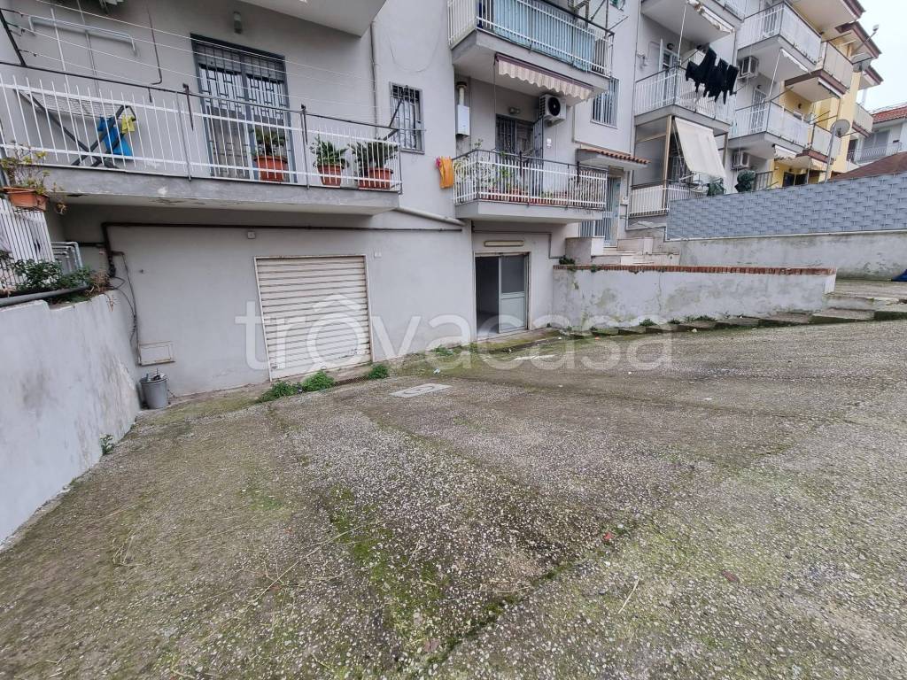 immagine annuncio 2 di 8