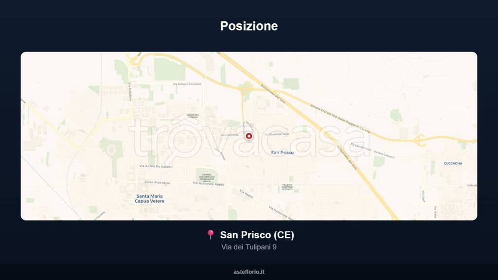 immagine annuncio 10 di 15