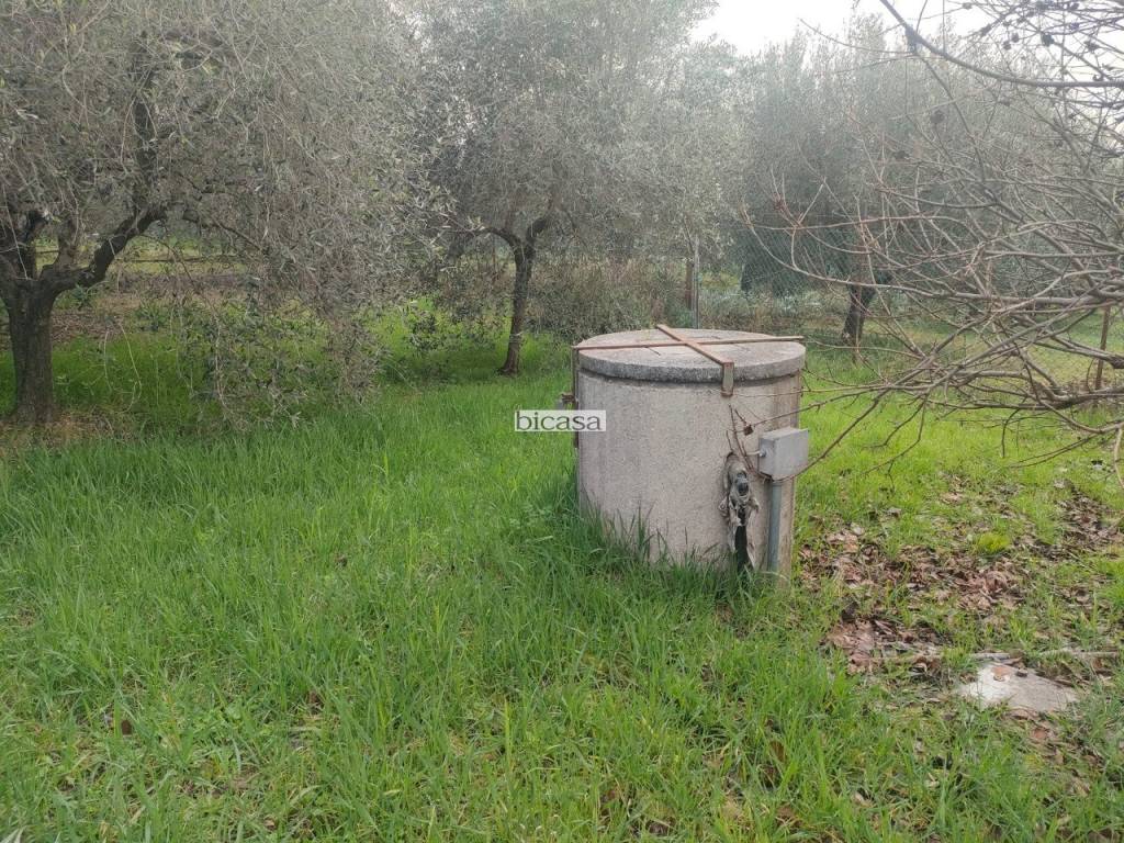 immagine annuncio 1 di 11