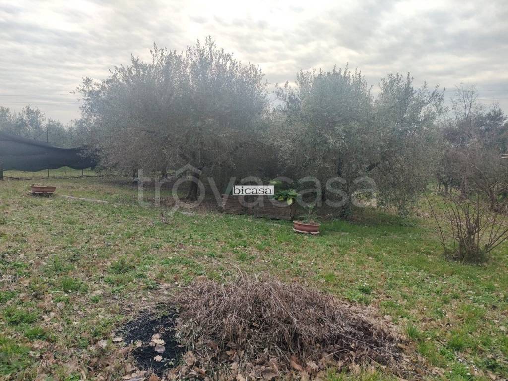immagine annuncio 2 di 11