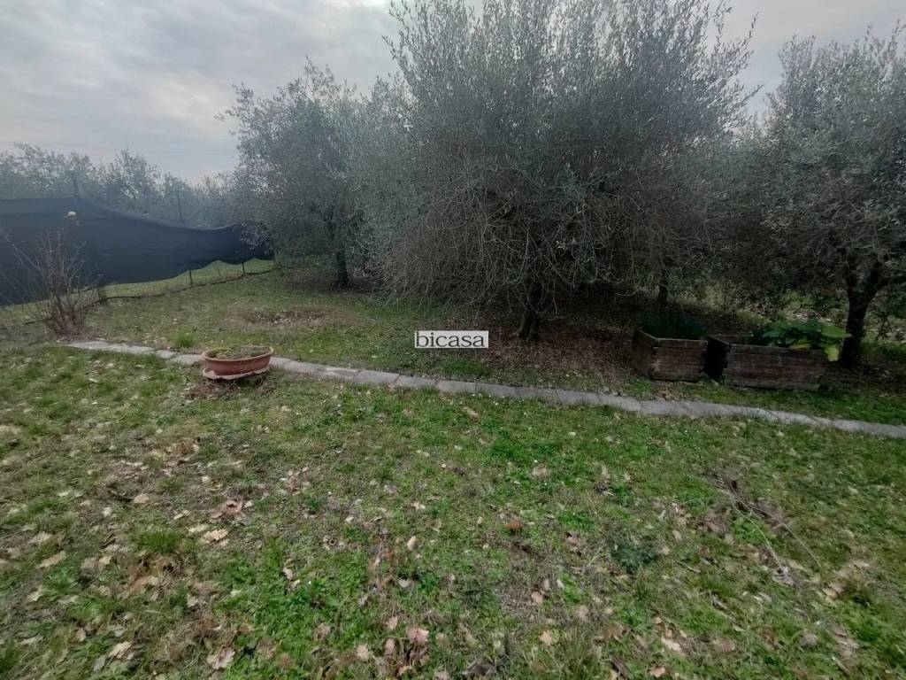 immagine annuncio 6 di 11