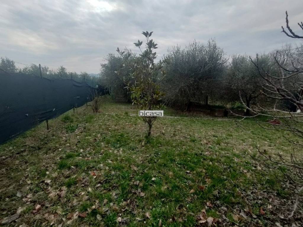 immagine annuncio 8 di 11