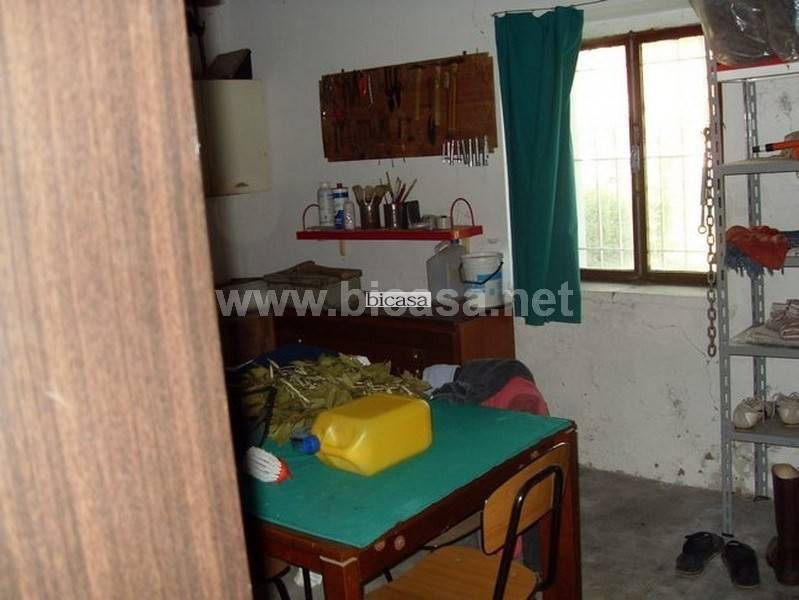 immagine annuncio 3 di 11