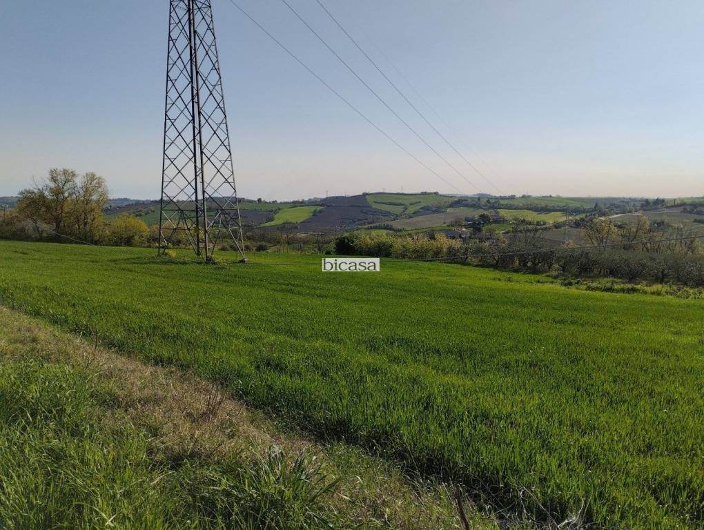 immagine annuncio 2 di 13
