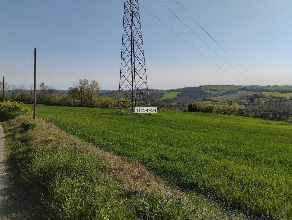 immagine annuncio 3 di 13