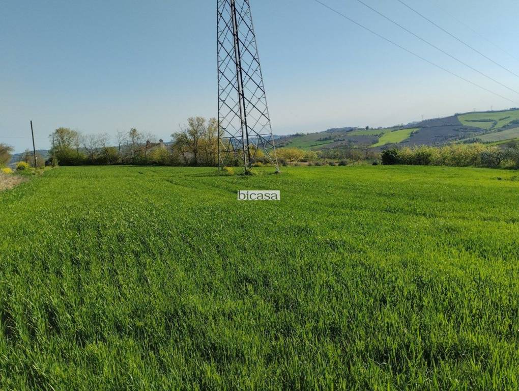 immagine annuncio 4 di 13