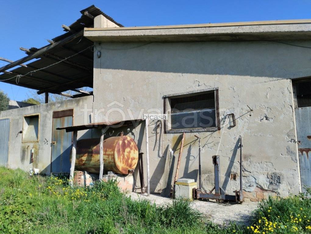 immagine annuncio 8 di 13