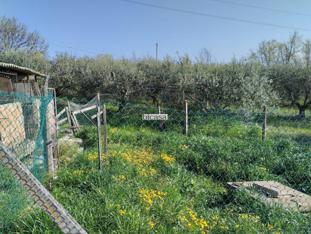 immagine annuncio 9 di 13