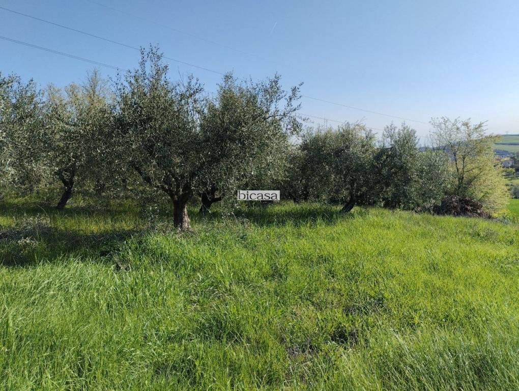 immagine annuncio 11 di 13
