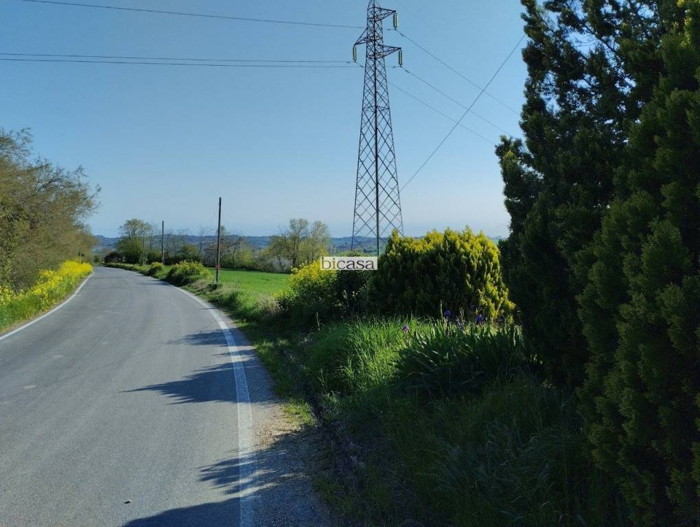 immagine annuncio 12 di 13
