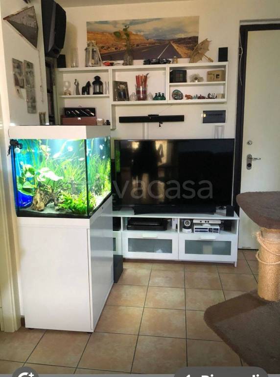 immagine annuncio 1 di 8