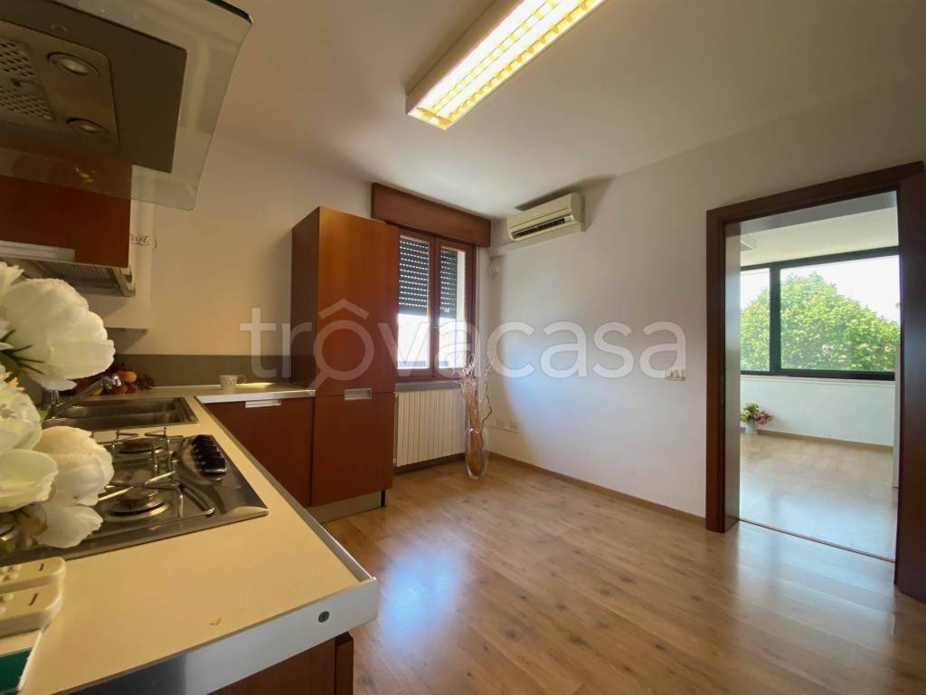 immagine annuncio 2 di 11