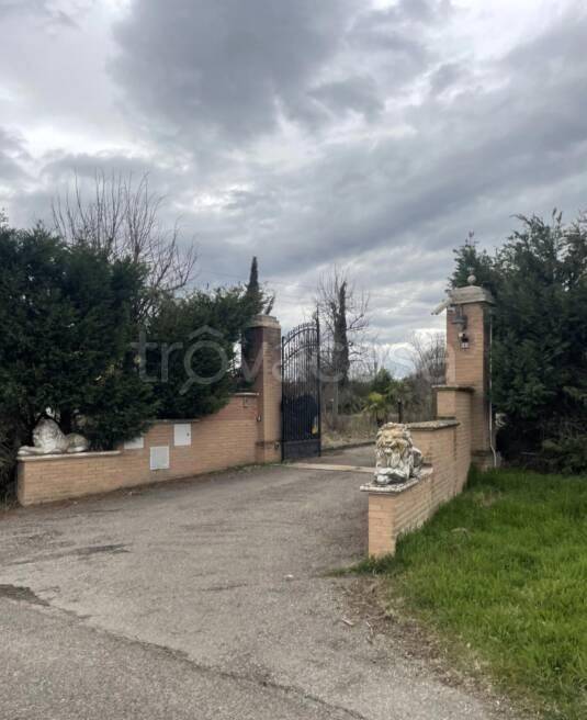immagine annuncio 5 di 8