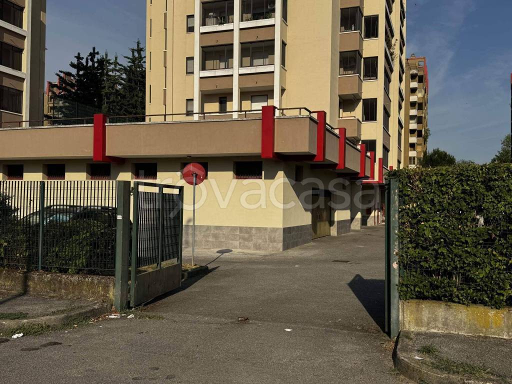 immagine annuncio 10 di 15