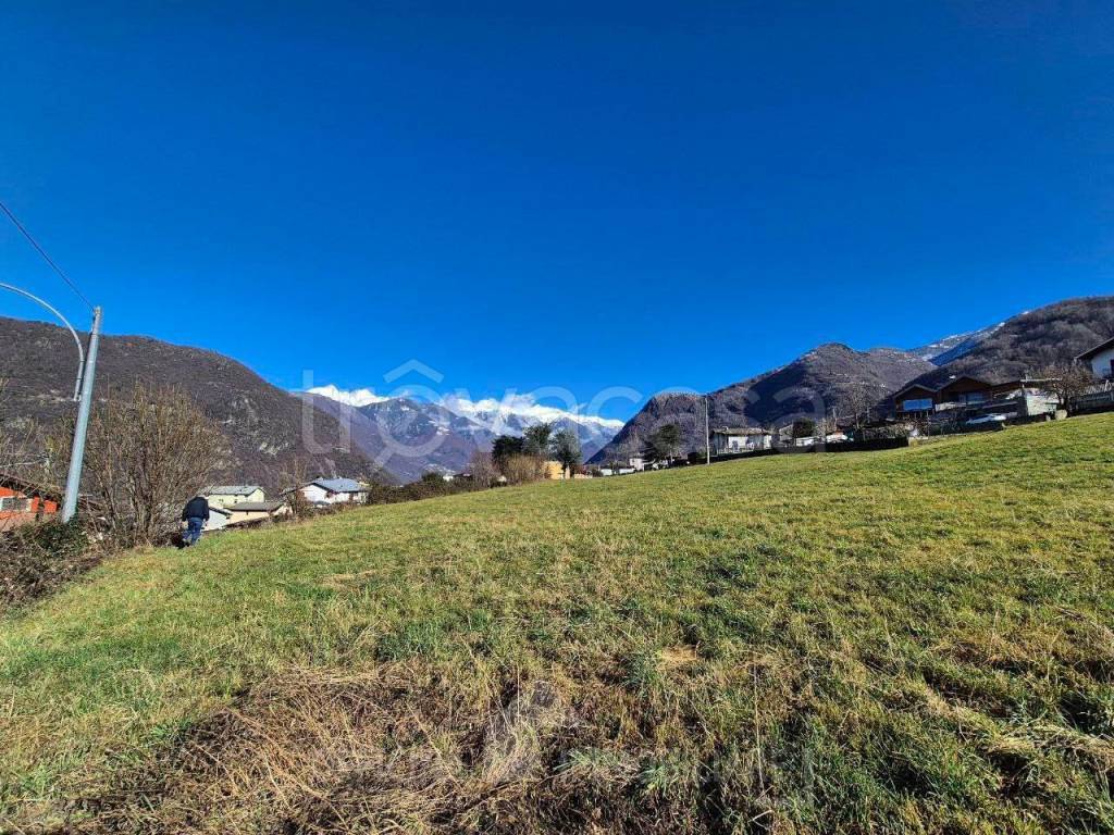 immagine annuncio 4 di 8