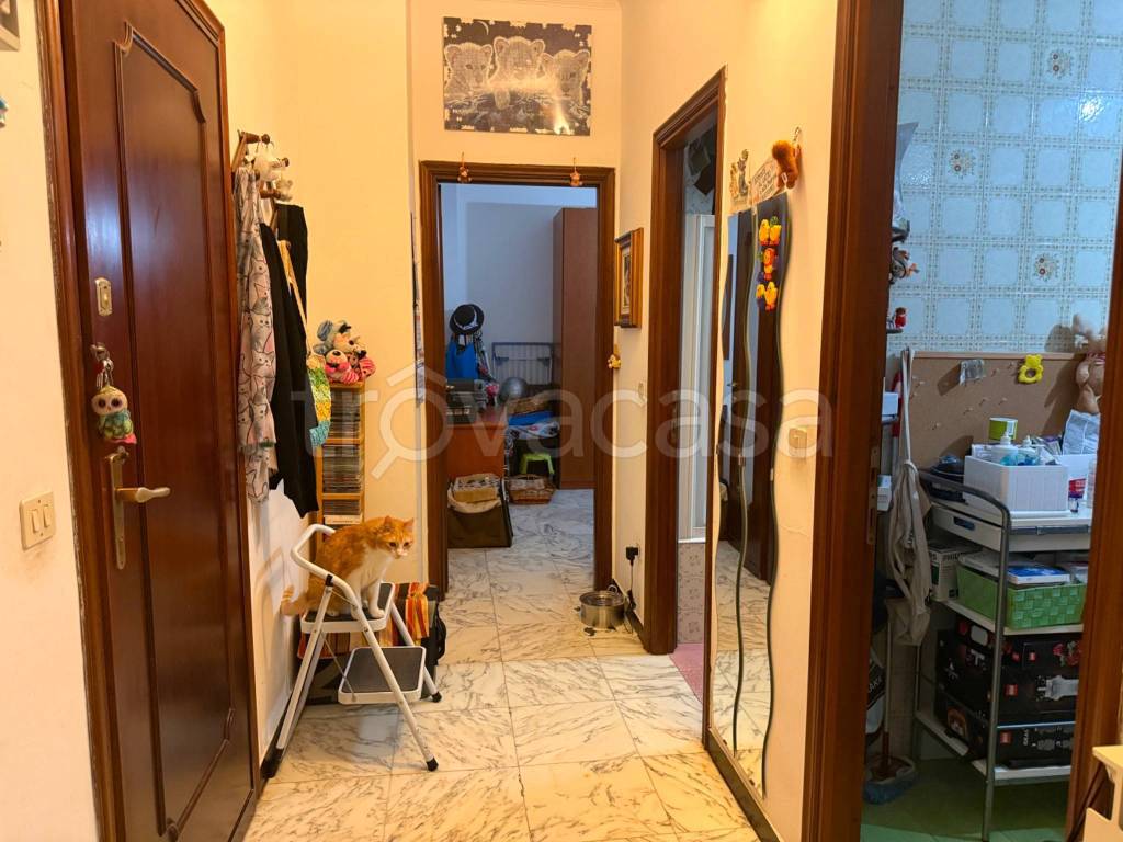 immagine annuncio 7 di 8