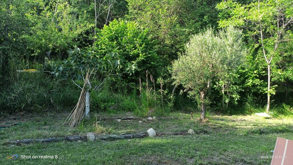 immagine annuncio 7 di 9