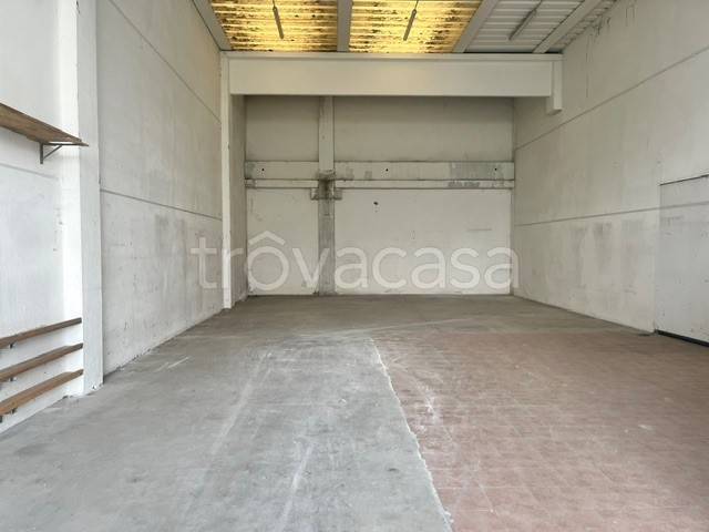 immagine annuncio 2 di 6