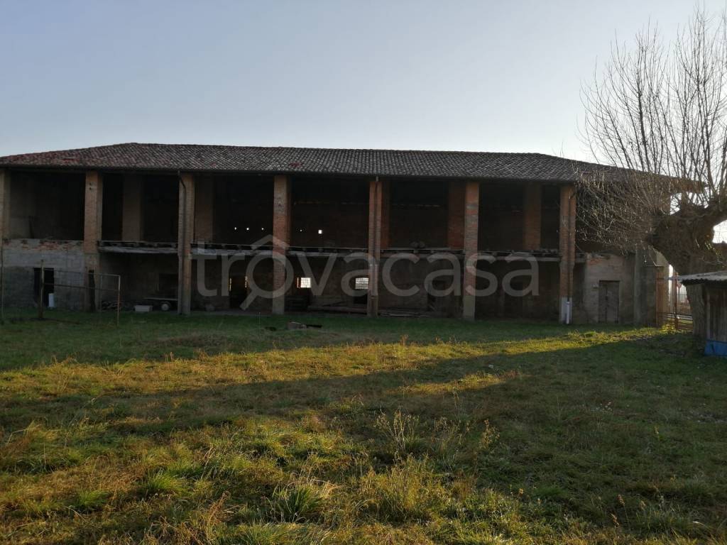 immagine annuncio 9 di 11