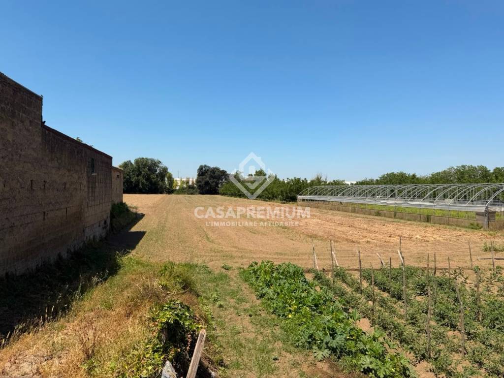 immagine annuncio 3 di 6