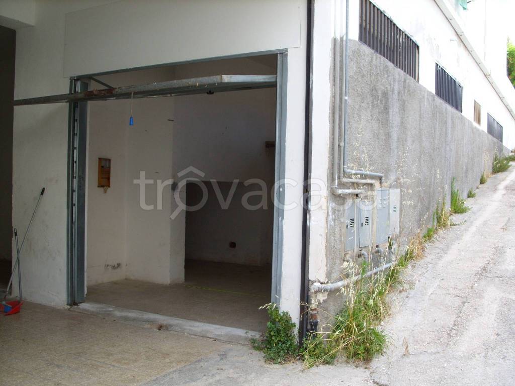 immagine annuncio 10 di 14