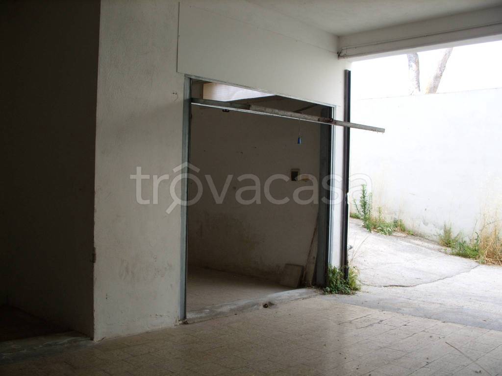immagine annuncio 11 di 14